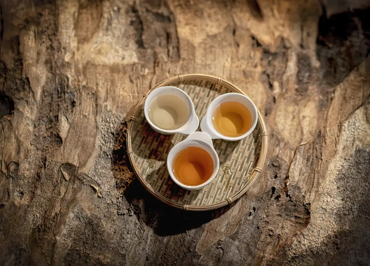 Serene Tea Escape